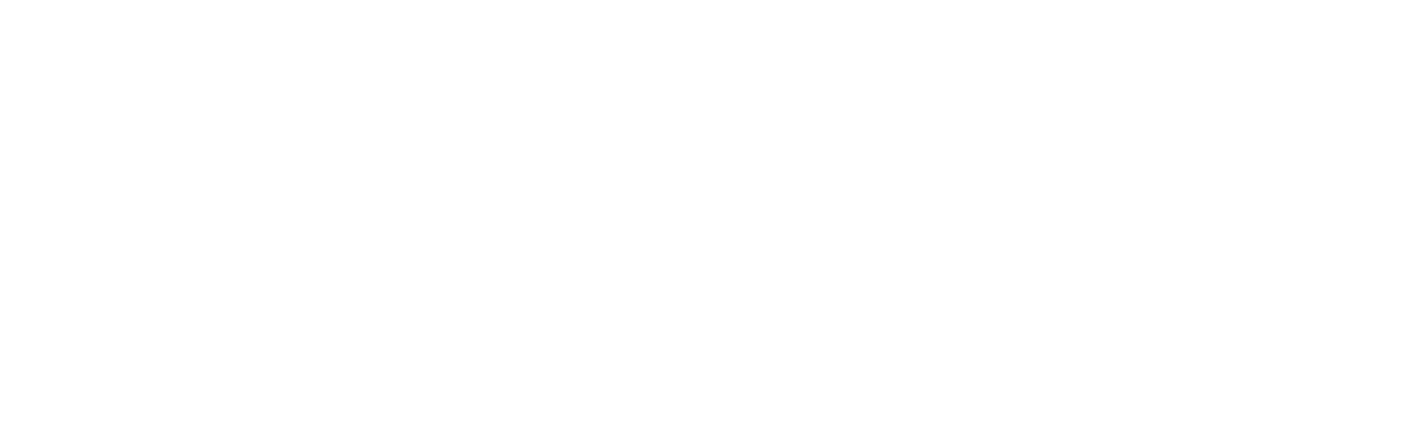 Detective 47